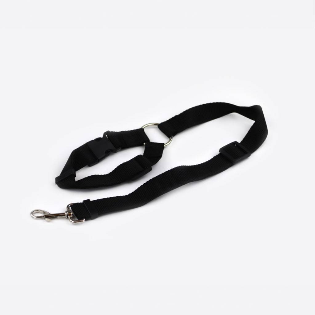 Dog Car Seatbelt Set (2pcs) Travel & Roadway Products